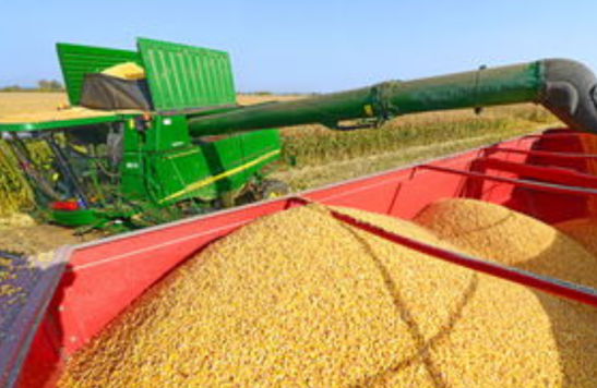 ��ʳ��������15���ǧ������� �������ʵ����д���ش�طܽ�ƪ